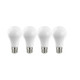 Light Bulb (S12440)
