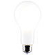 Light Bulb (S12452)