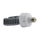 Light Bulb (S13127)