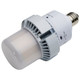 Light Bulb (S13162)