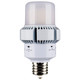 Light Bulb (S13165)