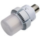 Light Bulb (S13165)