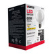 Light Bulb (S21238)