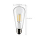 Light Bulb (S21361)