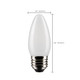Light Bulb (S21836)