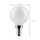 Light Bulb (S21876) Light Bulb (S21876)