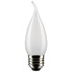 Satco - S21888 - Light Bulb - Frost