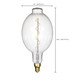 Light Bulb (S22432)