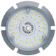 Light Bulb (S23166)