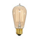 Light Bulb (S2413)