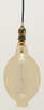 Light Bulb (S2432)
