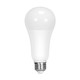 Satco - S28653 - Light Bulb - Frost