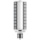 Light Bulb (S28987)