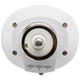 Light Bulb (S28987)