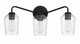 Shayna Three Light Vanity (56103-FB)