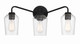 Shayna Three Light Vanity (56103-FB)