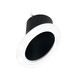 manufacturer_finish:Black Reflector / White Flange