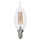 Bulbrite - 776739 - Light Bulb - Clear Bulbrite - 776739 - Light Bulb - Clear