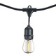 Bulbrite - 812313 - String Light - String - Black