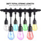 Bulbrite - 814361 - String Light - Solana - Smart String Light
