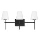 Hunter - 13250 - Three Light Bathroom Vanity - Camelia Stem - Matte Black