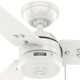 Cassius 36" Ceiling Fan (50321)