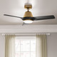 Aeronaut 44" Ceiling Fan (52885)