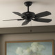 Builder Elite 42" Ceiling Fan (53485)