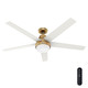Aerodyne 60" Ceiling Fan (53783)