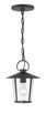 Crystorama - AND-9203-CL-MK - One Light Outdoor Chandelier - Andover - Matte Black