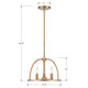 Abbott Three Light Chandelier (ABB-3003-VG)