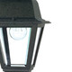 Briton One Light Hanging Lantern (60-489)