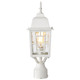Banyan One Light Post Lantern (60-4927)