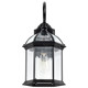 Boxwood One Light Wall Lantern (60-4966)