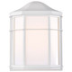 Cage Lantern One Light Wall Lantern (60-537)