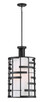 Nuvo Lighting - 60-6433 - Four Light Pendant - Lansing - Midnight Bronze