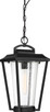 Nuvo Lighting - 60-6514 - One Light Hanging Lantern - Lakeview - Aged Bronze / Brass Accents