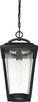 Lakeview One Light Hanging Lantern (60-6514)