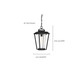 Lakeview One Light Hanging Lantern (60-6514)