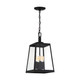 Halifax Four Light Hanging Lantern (60-6584)