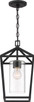 Nuvo Lighting - 60-6594 - One Light Hanging Lantern - Hopewell - Matte Black