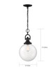 Skyloft One Light Pendant (60-6673)