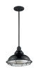 Newbridge One Light Pendant (60-7004)