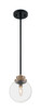 Axis One Light Pendant (60-7121)