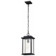 Sullivan One Light Outdoor Hanging Lantern (60-7377)