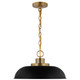 Colony One Light Pendant (60-7481)