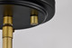 Adina One Light Pendant (60-7766)