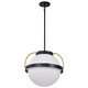 Lakeshore One Light Pendant (60-7774)