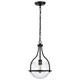 Amado One Light Pendant (60-7817)