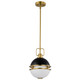 Nuvo Lighting - 60-7876 - One Light Pendant - Everton - Matte Black